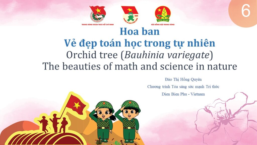 Vẻ đẹp toán học và khoa học của hoa ban - Beauties of maths and science of Bauhinia variegata