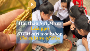 Hội thảo STEM nữ lúa gạo - STEM girl rice