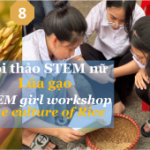 Hội thảo STEM nữ lúa gạo - STEM girl rice