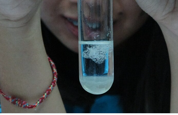 Tách chiết DNA từ hoa quả